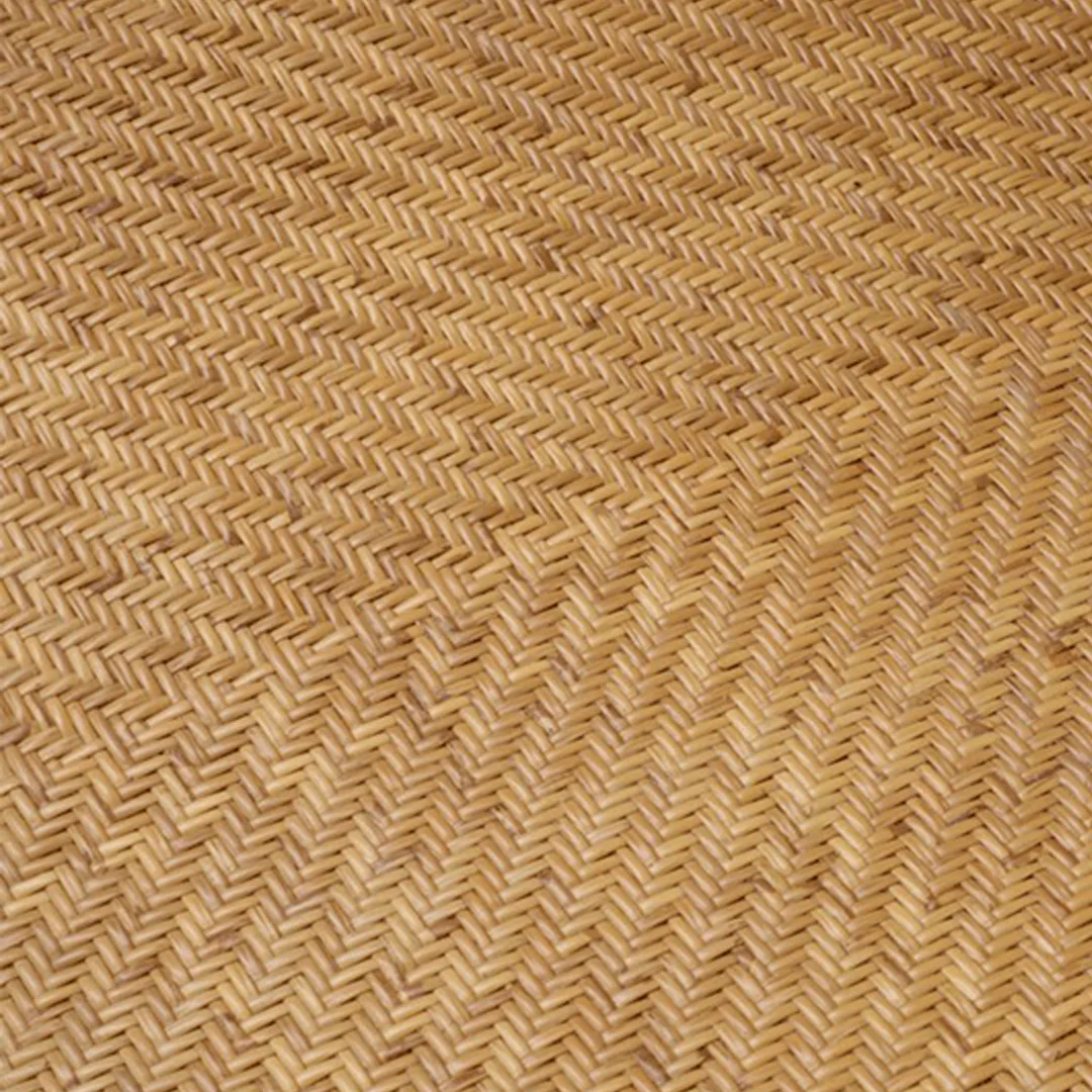 Colony